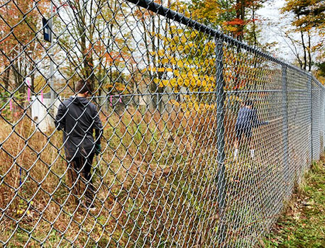 students clearing weeds behind a fence