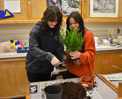 students holding and trimming a bonsai tree