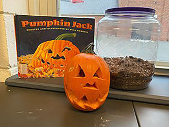 pumpkin in front of book