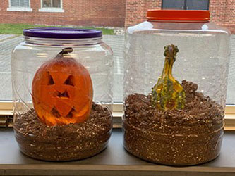 pumpkin and gourd in a jar