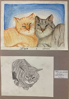 artwork of cats