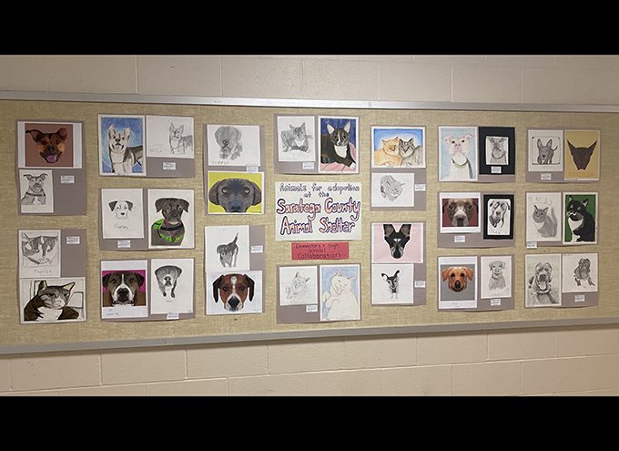 bulletin board filled with student artwork of dogs and cats