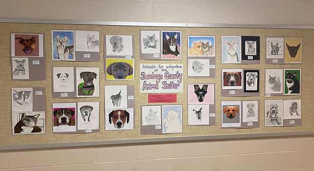 animal portraits posted on a bulletin board