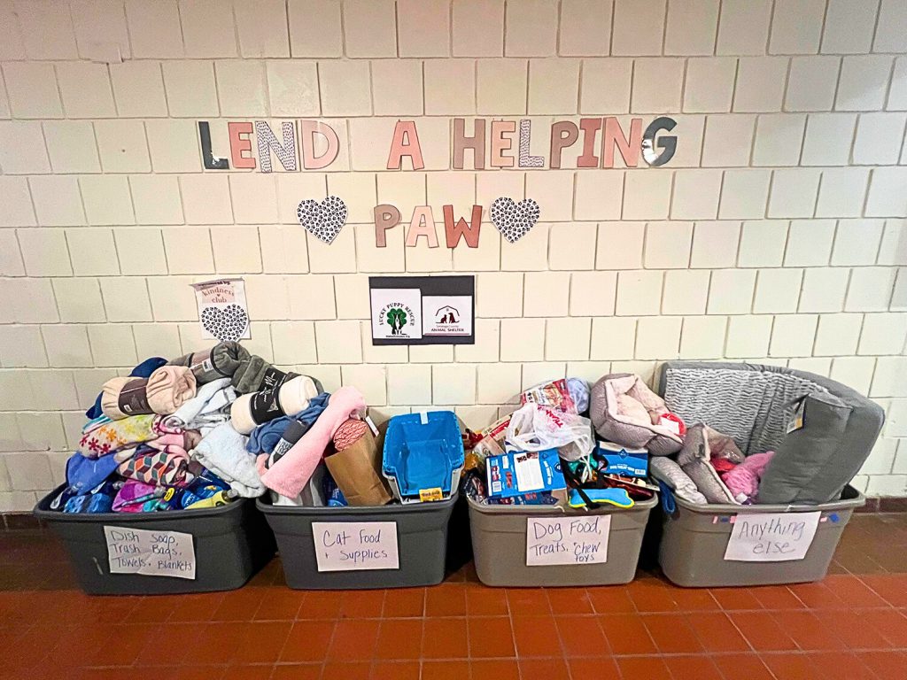 Colorful paper letters hang on the wall that say "Lend a Helping Paw." Boxes of donated pet items are on the floor below.