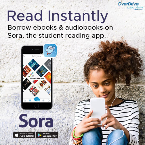 A poster of a child on their phone using the app "Sora" with a caption.
