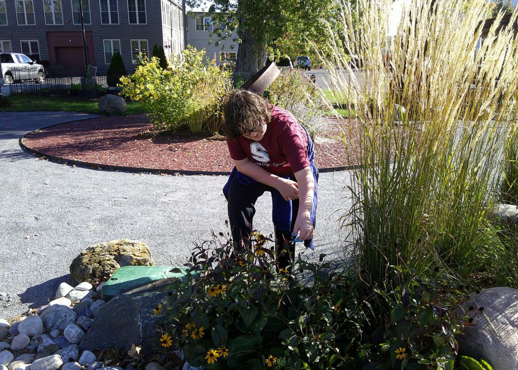 Student enhancing the grounds at the Stillwater Public Library.