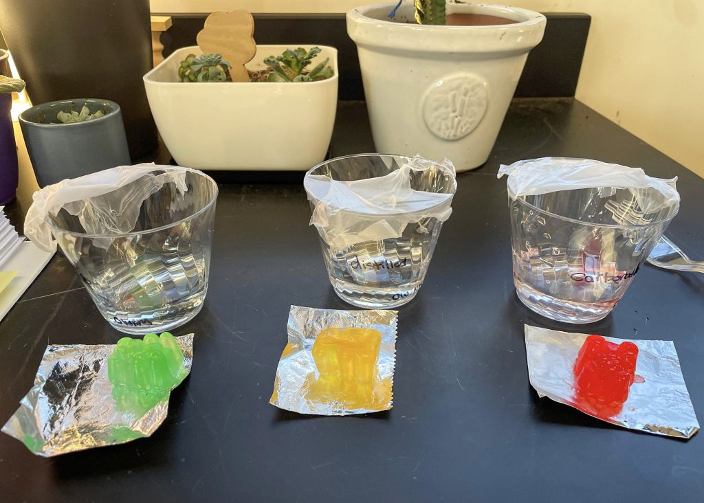 Three clear cups with plastic wrap on top, each containing a colored jelly piece (green, yellow, and red) placed on aluminum foil. There are also small plants in pots in the background.