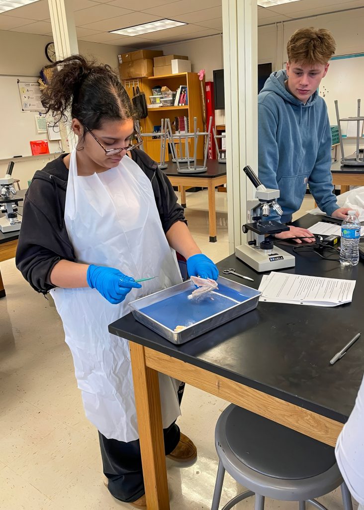 A female high school student in an apron and gloves is dissecting a specimen on a tray in a science classroom, while another student observes nearby at a lab table with a microscope.